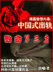 中国式出轨:致命第三者