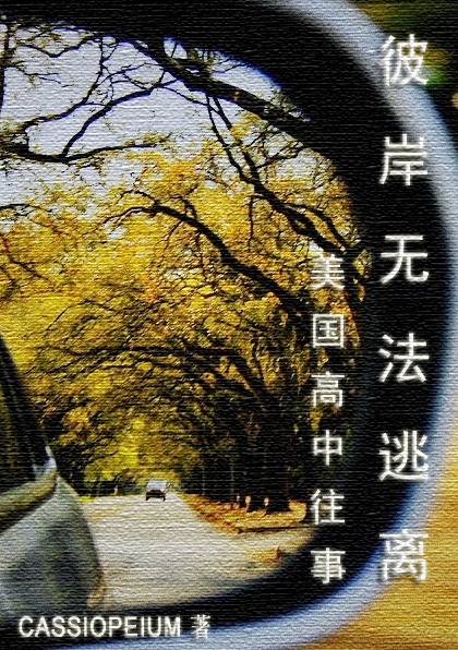彼岸无法逃离:美国高中往事