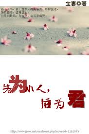 先为小人后为君(高干)