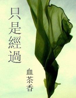 只是经过