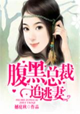 腹黑总裁追逃妻
