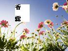 留得香魂住:香露