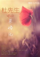 杜先生求婚记