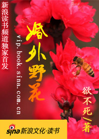 婚外野花:求爱离婚后