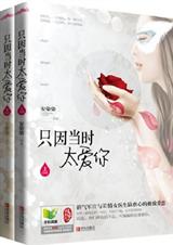 只因当时太爱你by安染染