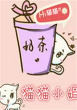 猫猫小姐