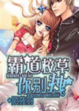 拽校草的恶魔丫头