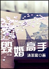 毁婚高手