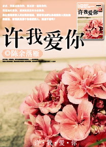 许我爱你