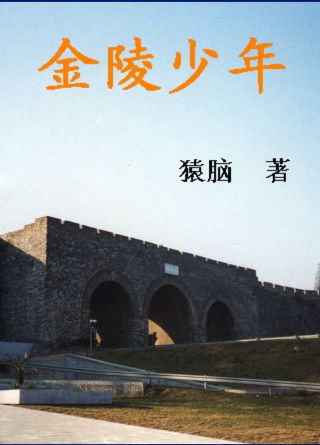 金陵少年