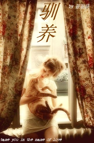 驯养+番外