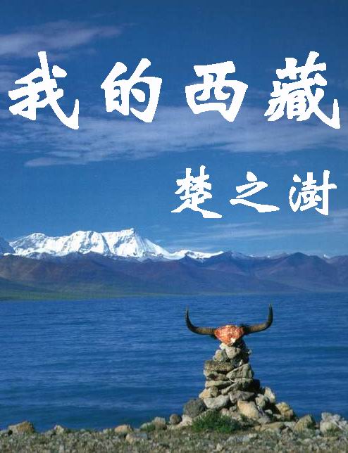 我的西藏