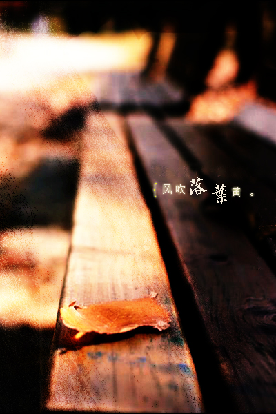 风吹落叶黄