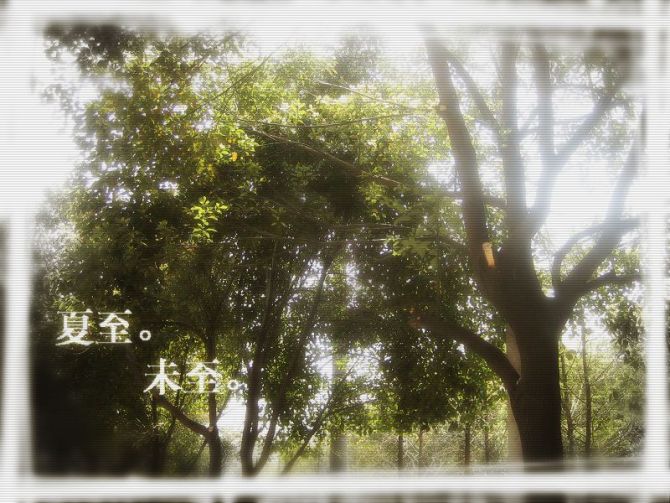 夏至未至(原版)