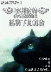 HP伪装下的真实