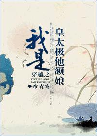 我是皇太极他额娘