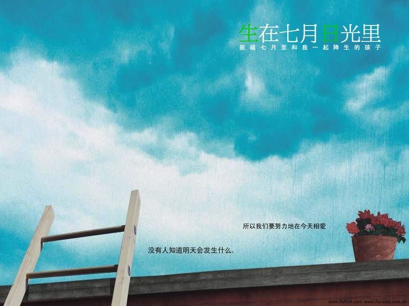 向日葵的哭泣