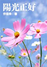 阳光正好 完结