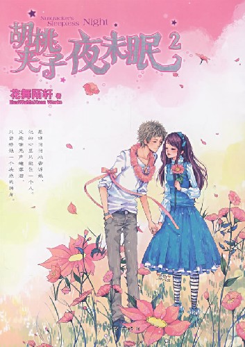 胡桃夹子夜未眠2