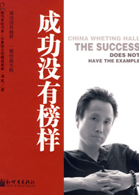 成功没有榜样