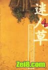 迷人草
