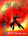 灵宠炫