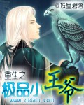 重生之极品小王爷