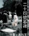 二十四号墓碑