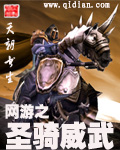 網游之聖騎威武