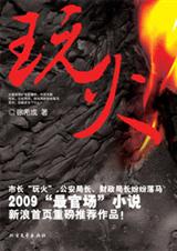 官场小人物的拼搏史玩火