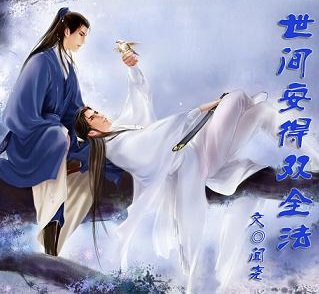 世间安得双全法
