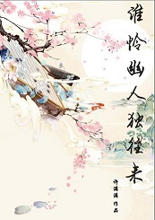 谁怜幽人独往来