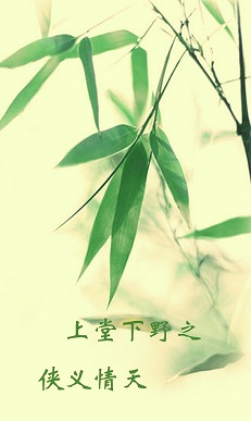 侠义情天