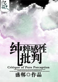 纯粹感性批判