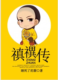 禛禩传