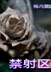 禁射区