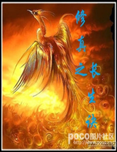 修真之长生诀