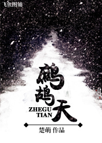 鹧鸪天