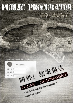 附件!结案报告