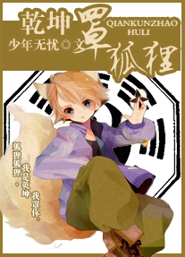 乾坤罩狐狸