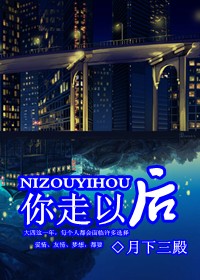 你走以后