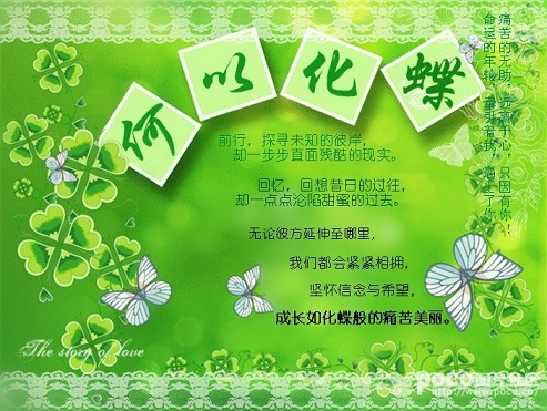 何以化蝶