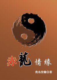 赤龙情缘