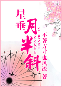 星垂月半斜