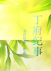 丁府纪事