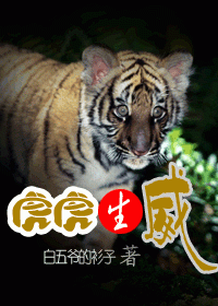 本命年之虎虎生威
