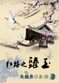 红楼之臻玉