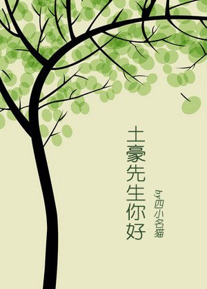 土豪先生你好