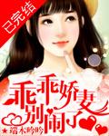 乖乖娇妻,别闹了