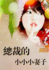 总裁的小小小妻子